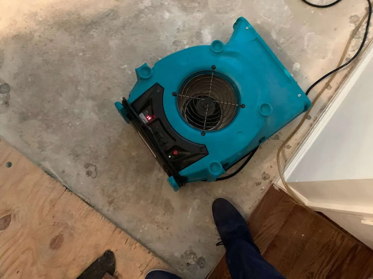 Air mover drying subfloor during Commercial Water Damage Restoration in Northampton